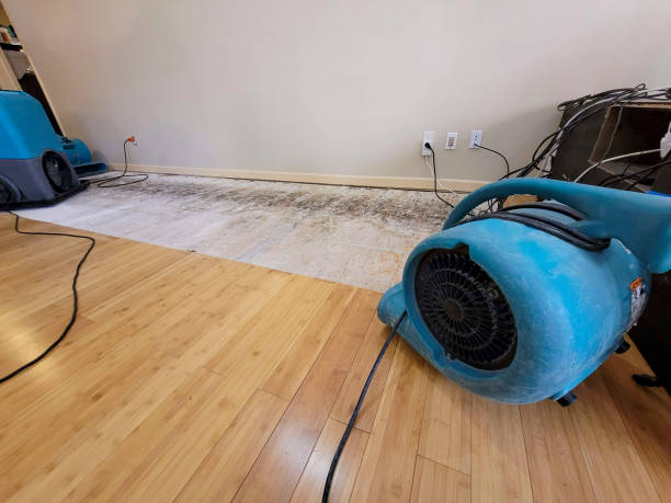 Professional Basement Flood Cleanup technician working in Arlington, TX